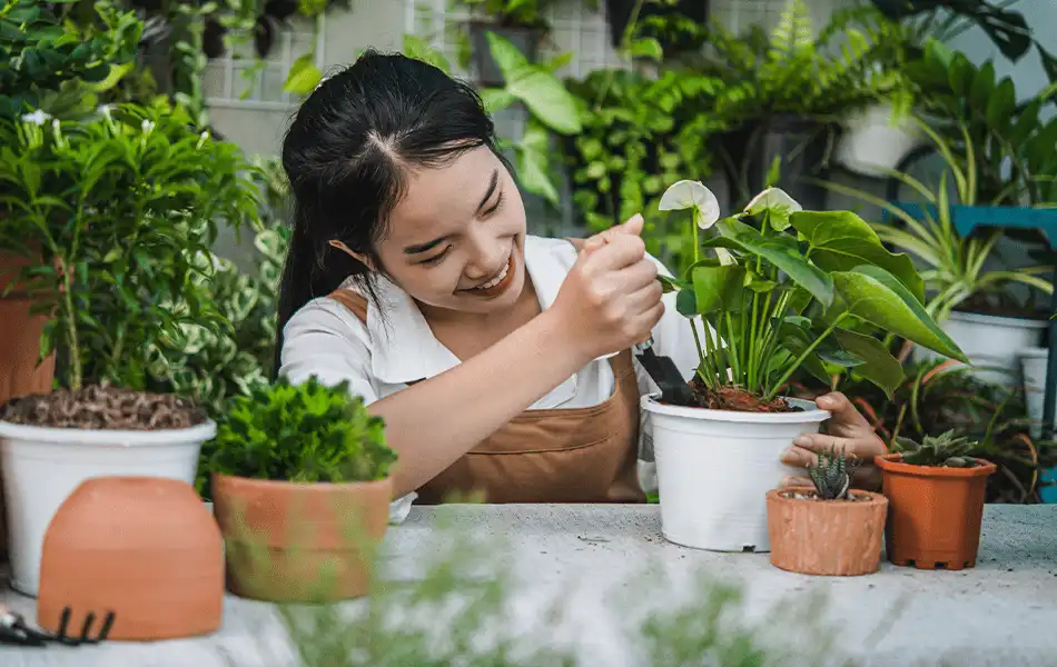 Starting Your Own Garden Tips for Beginners