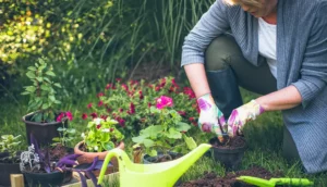 The Benefits of Having a Home Garden